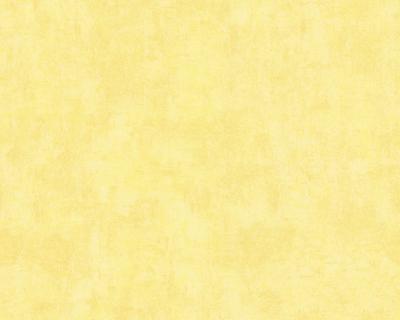 Фото A.S.Creation Used Look 224088