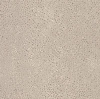 Фото Rasch African Queen 2 423624