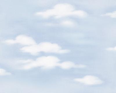 A.S.Creation Dekora Natur 6 7981-21