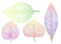 Цветные листья