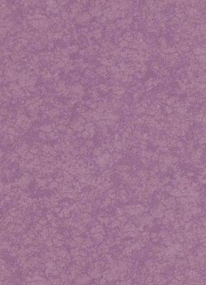 Фото Erismann Cassinia 5210-09