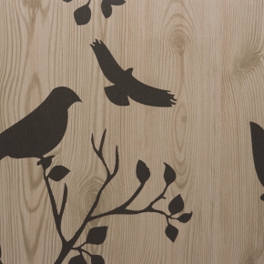 Фото BN International Neo 43871