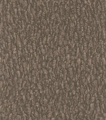 Фото Rasch Black Forest 2016 514247