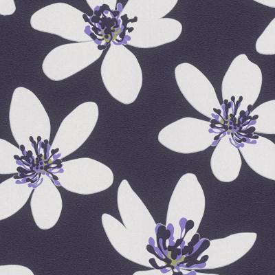 Фото Rasch Prego 2 2019 700183