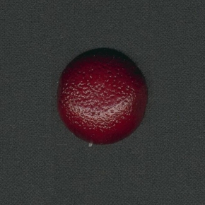 Фото Marburg Colani 76994