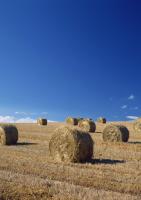 Стоги сена