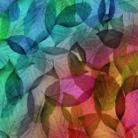 Разноцветные листики