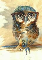 Сова в очках