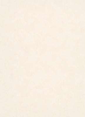 Фото Erismann Nordic Summer 1779-14