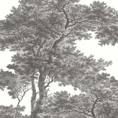 Фото Rasch Passepartout 606898