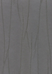 Фото Marburg Crush Gala 61849