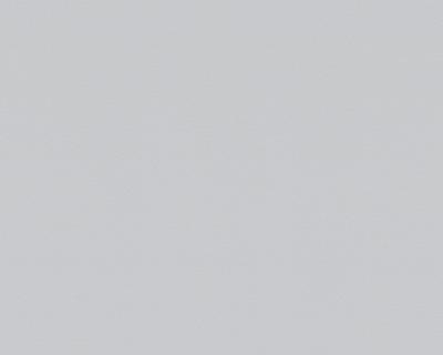 Фото A.S.Creation NAF NAF 954558