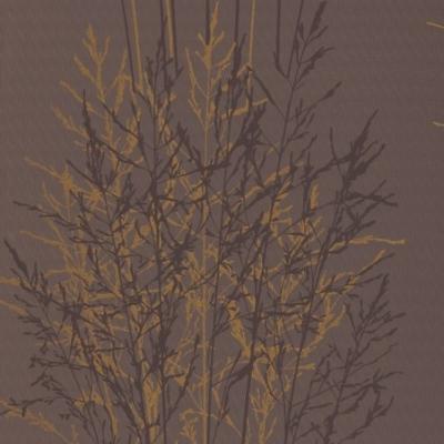 Erismann Senses 2013 5722-11