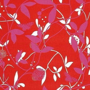 Фото BN International Happy 43930