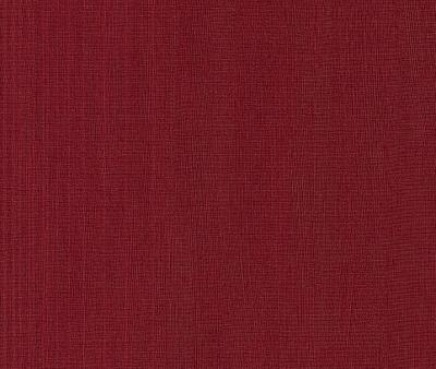 Фото Rasch Intuicion 2011 733457