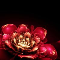 Красный 3д цветок