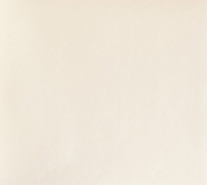 Фото Sandudd Hopealehti 4878-3