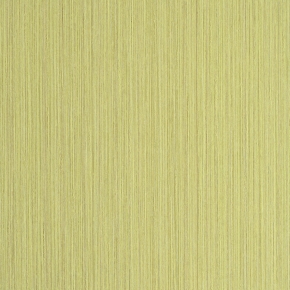 Фото BN International Organza 45216