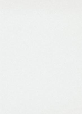 Фото Erismann RollOver 3329-1 (плотность 150 гр.)