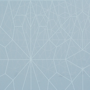 Фото BN International Motion 46582