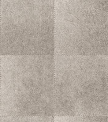 Фото Rasch African Queen 2014 422474