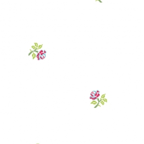 Фото BN International Bont 46900