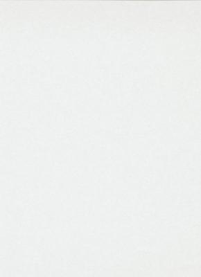 Фото Erismann RollOver 3331-1 (плотность 120 гр.)