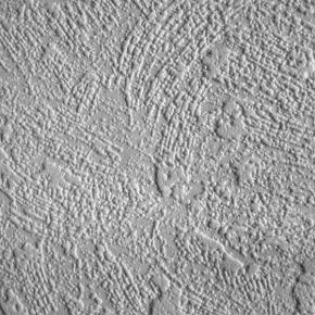 Фото Marburg Patent Decor Lifestile 9315