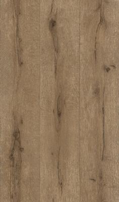 Фото Rasch Black Forest 2016 514445