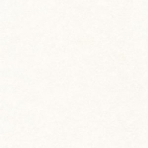 Фото Sandudd Hopealehti 4879-2