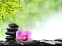 Камни и орхидея