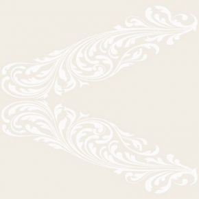 Фото BN International Authentique 45744