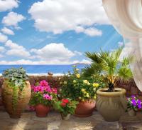 Цветы в вазонах