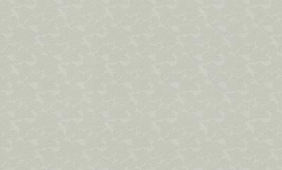 Фото Rasch Maximum XI 926248