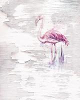 Komar 6007A-VD2 (Pink Flamingo)
