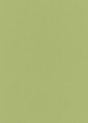 Фото Erismann Colour Stories 6342-07