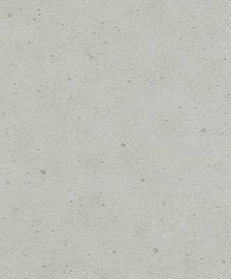 Фото Rasch Factory 2014 438000