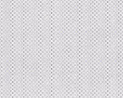 Фото A.S.Creation Meistervlies 4 9346-51 (9346-61)