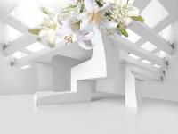 Лилии и геометрия