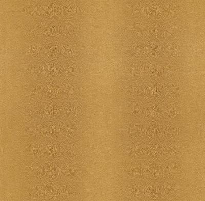 Фото Rasch African Queen 2014 422900