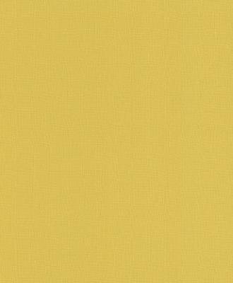 Фото Rasch Funky Flair 2015 721935