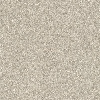 Фото Rasch Passepartout 606645