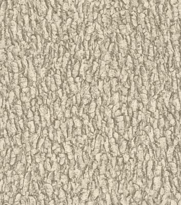 Фото Rasch Black Forest 2016 514216