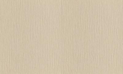 Фото Rasch Metal Spirit 977233