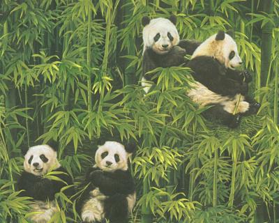 Фото A.S.Creation Simply Decor 33635-1