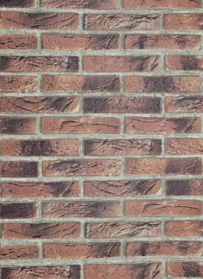 Фото Erismann Nature 9044-2