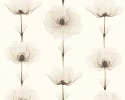 Фото A.S.Creation X-Ray 34273-2