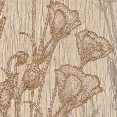 Фото Rasch Beltesto 2015 688641