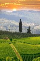 Оранжевый закат