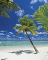 Komar 4-883 (Ari Atoll)